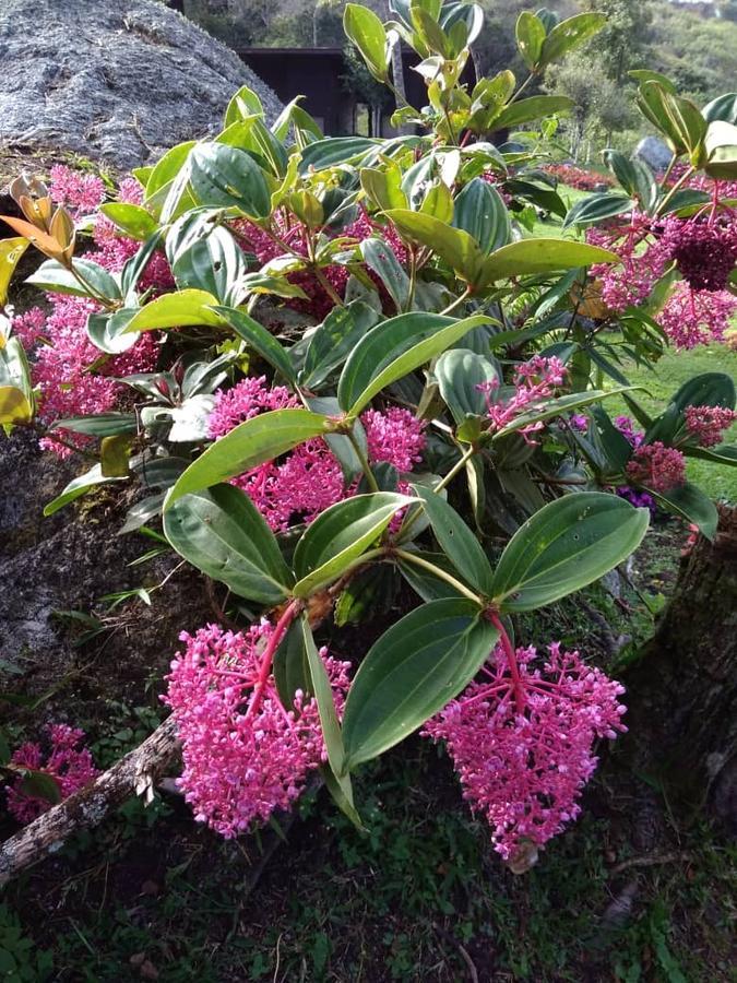 Spring Garden 호텔 Kampong Kundassan 외부 사진